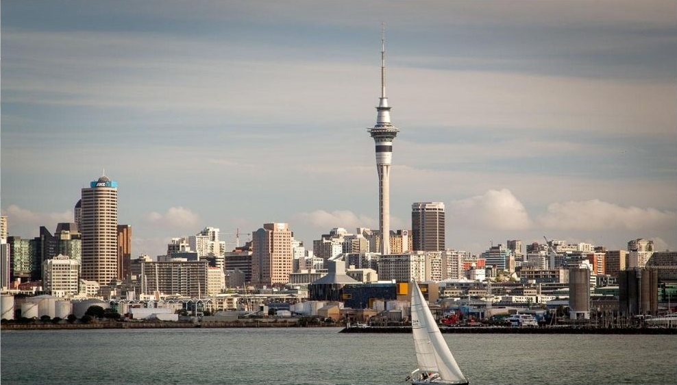 Simplify Your Logistics: Why Global4PL’s IOR Services Are a Game-Changer for New Zealand Imports
